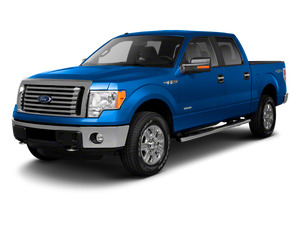 2010 Ford F-150 STY