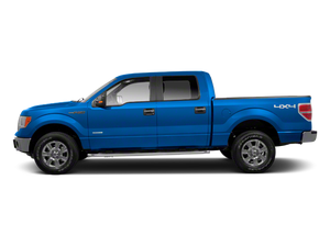 2010 Ford F-150 STY