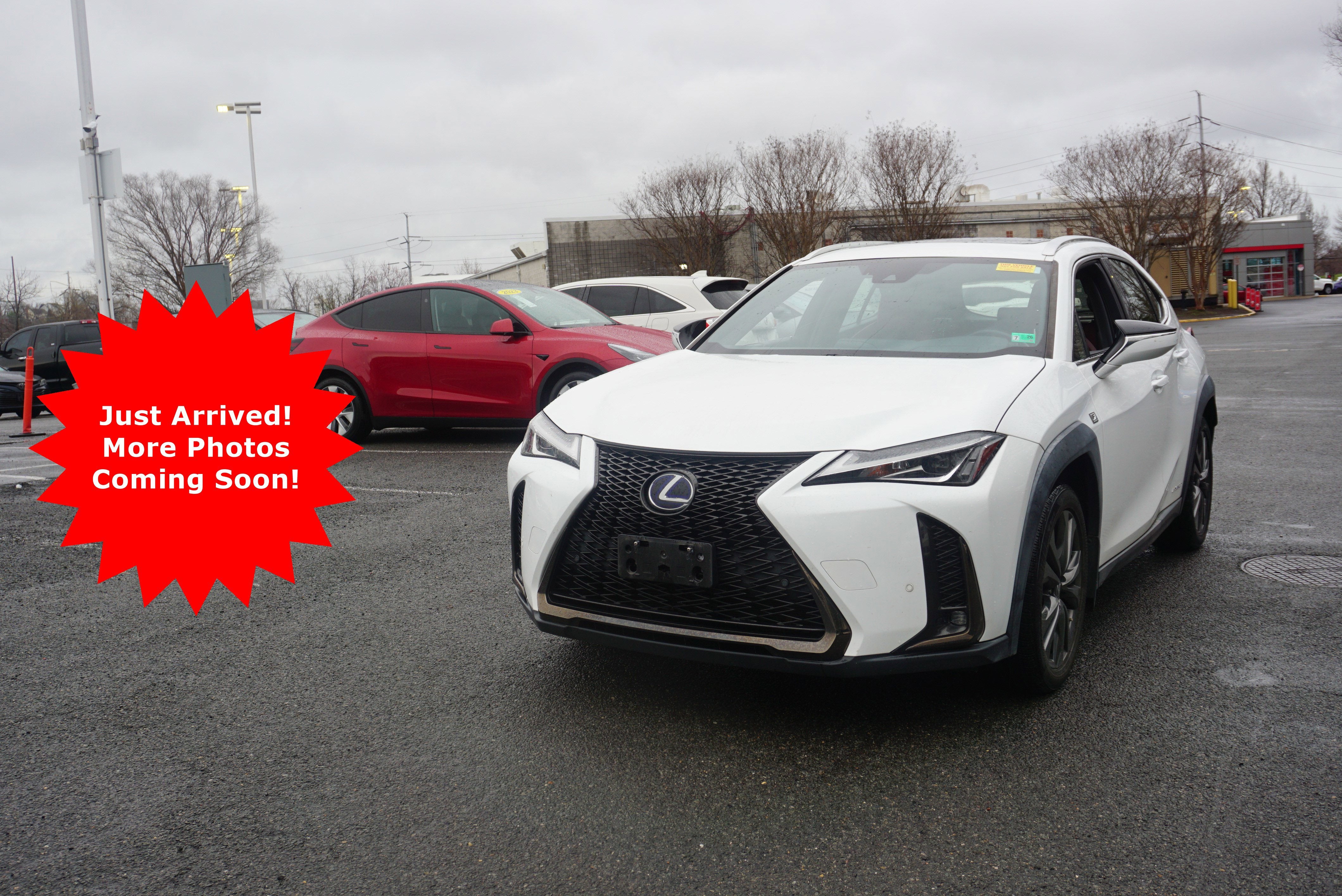 2019 Lexus UX UX 250h