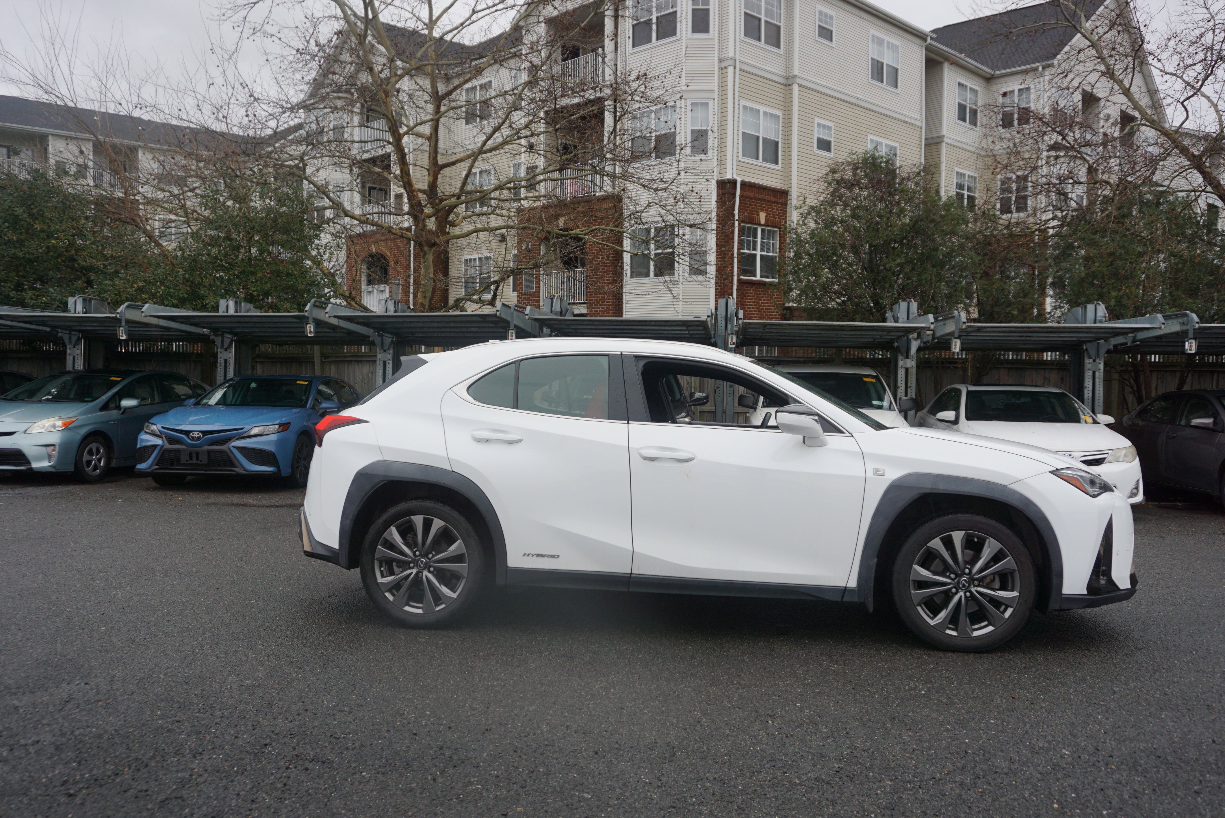 2019 Lexus UX UX 250h