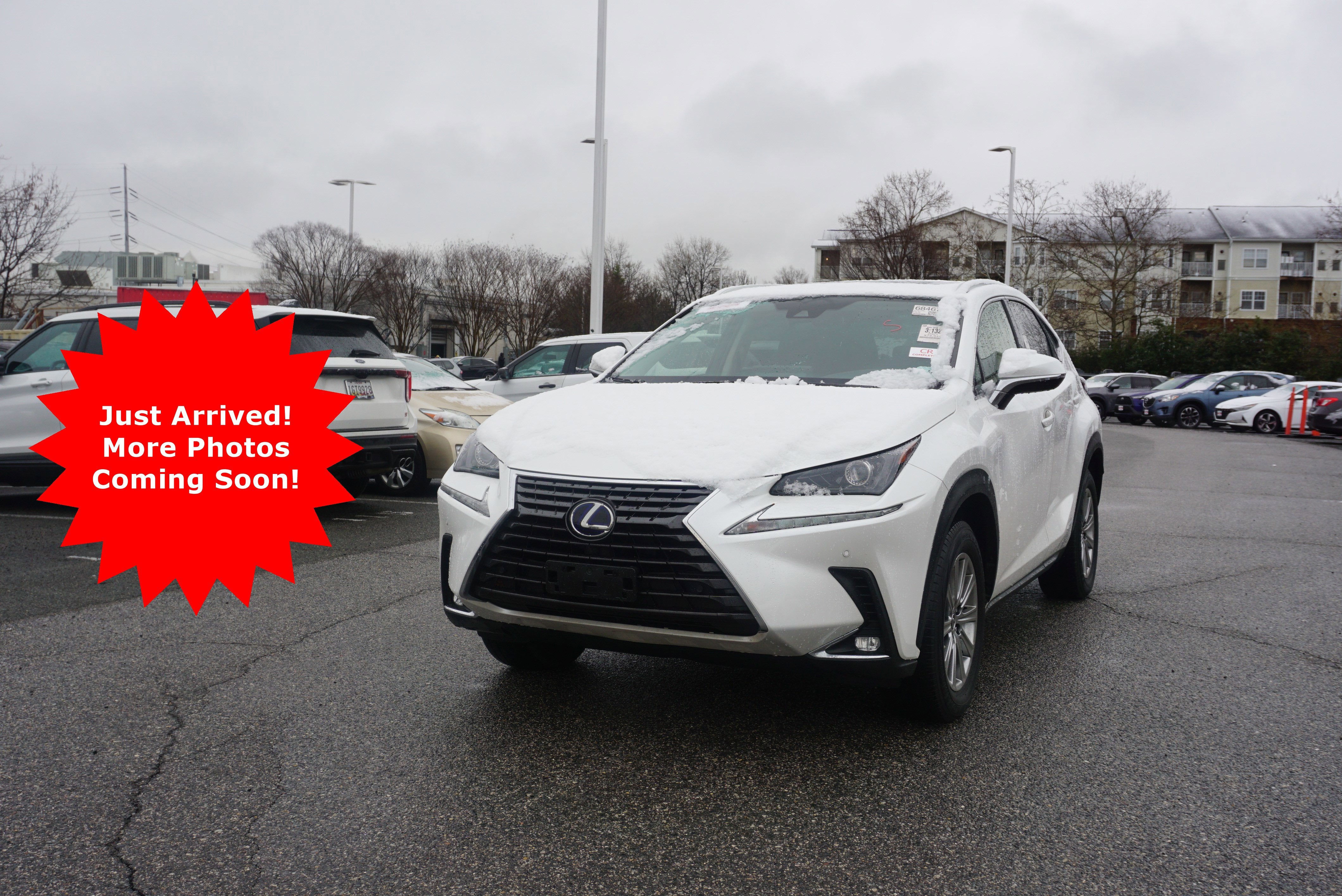 2021 Lexus NX NX 300h