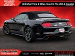 2020 Ford Mustang EcoBoost Convertible