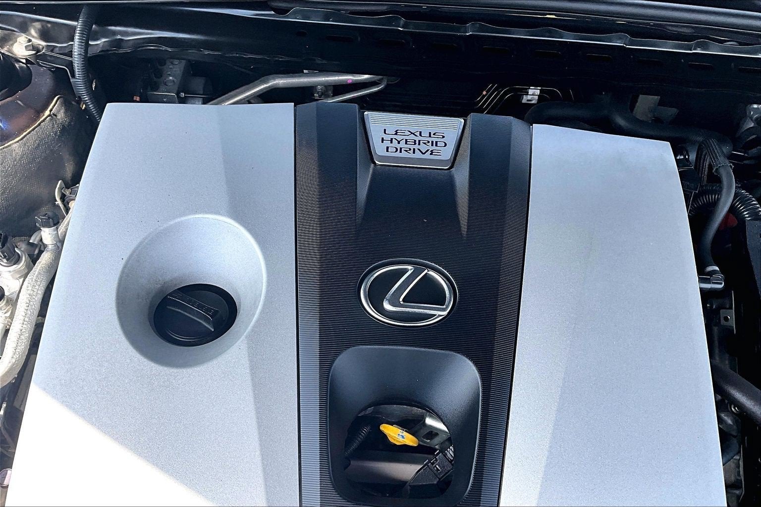 2019 Lexus ES ES 300h Luxury