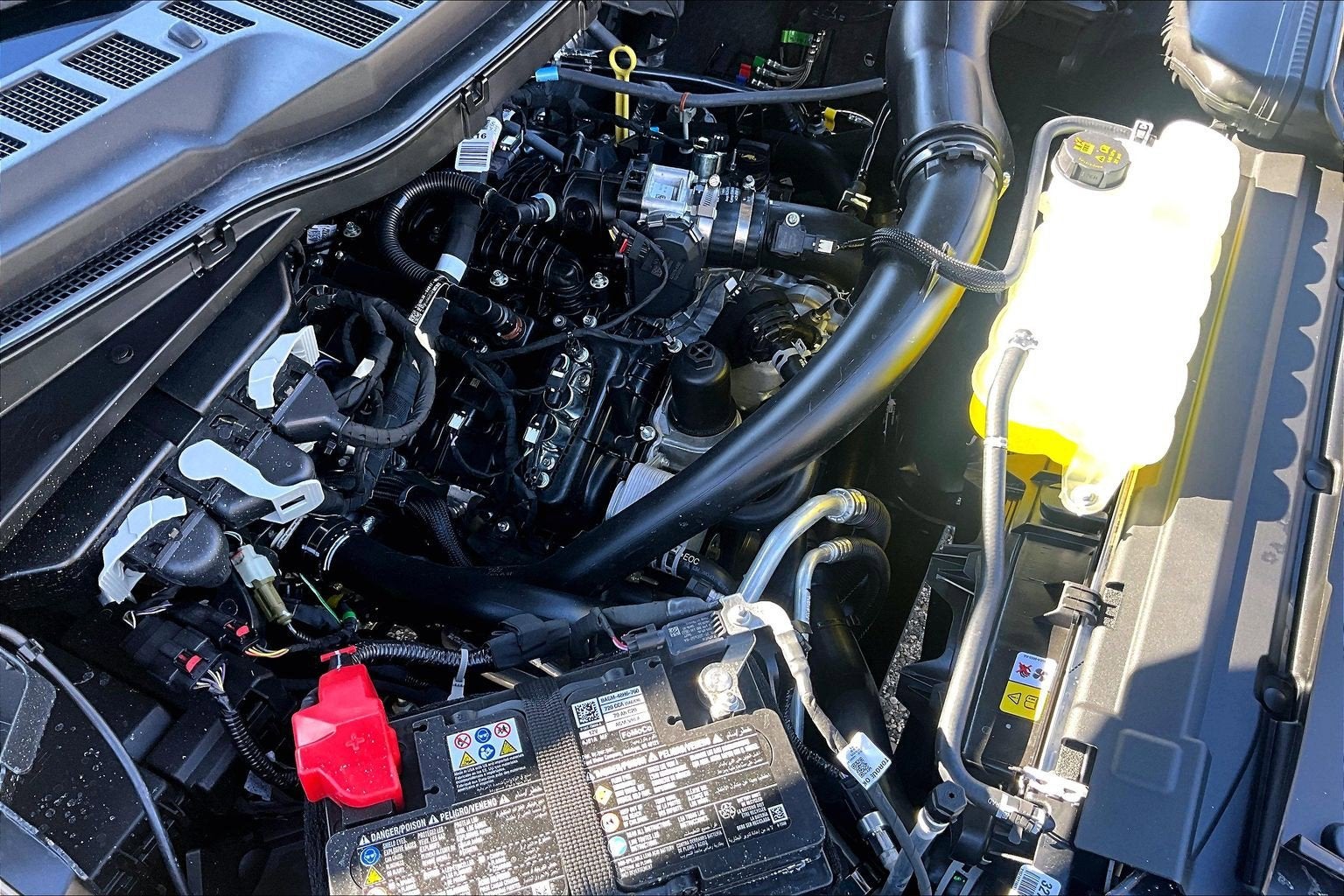 2025 Ford F-150 STX®