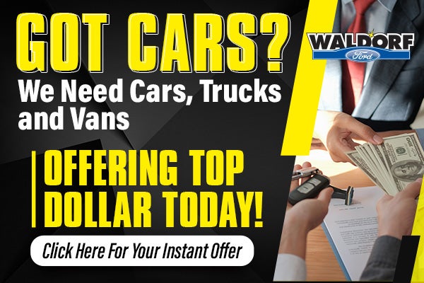 Evergreen Trade Offer