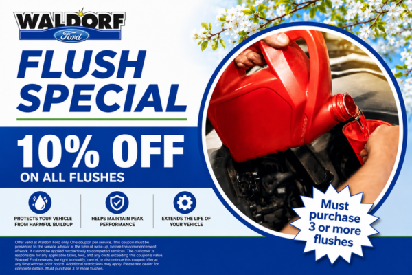 Flush Special